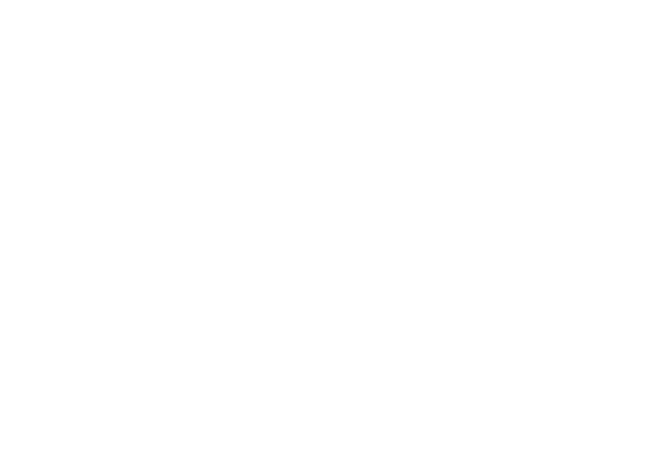 Numatic Logo